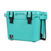 Bison Coolers Seafoam 25 Quart Cooler