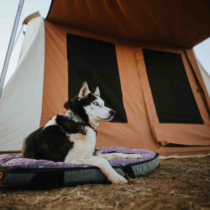 White Duck 10'x10' Prota Canvas Cabin Tent, Water Repellent