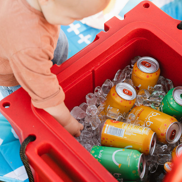 Bison Coolers Red 25 Quart Cooler