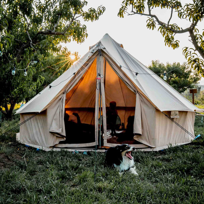 bell tent parc bûten jubbega White Duck 13' Regatta Canvas Bell Family Camping Tent — Green Gear Store