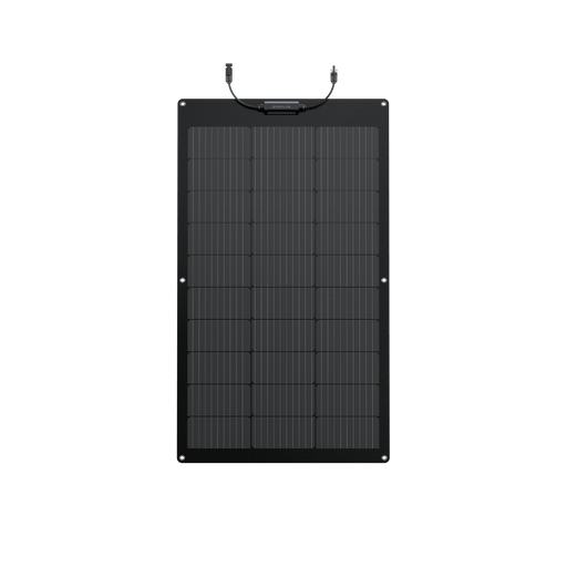 EcoFlow 100W Flexible Solar Panel